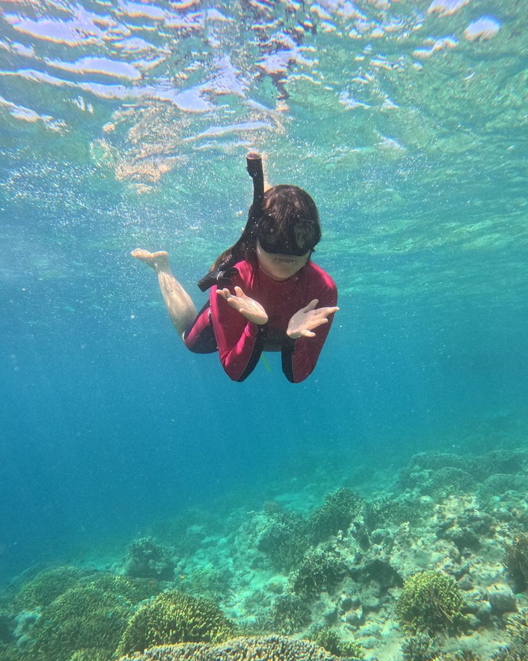 Paket Wisata 1 Hari Snorkeling Menjangan & Tabuhan